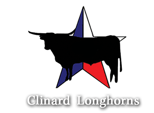 Clinard Longhorns